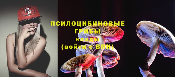 твердый Зерноград
