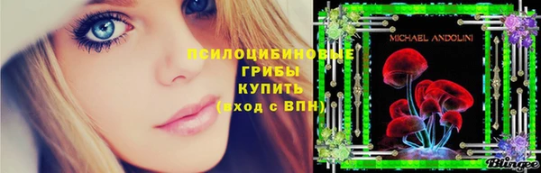 дурь Зеленодольск