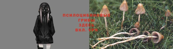 каннабис Зеленокумск