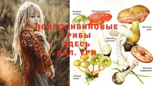каннабис Зеленокумск