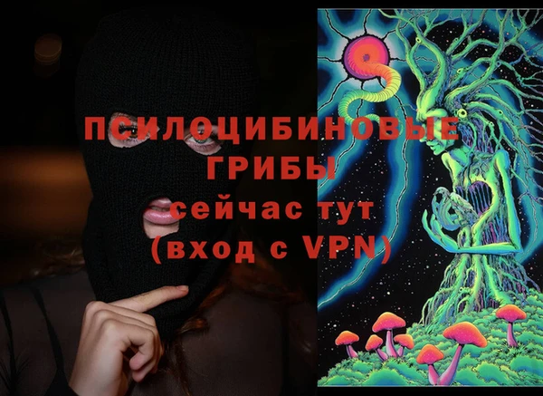твердый Зерноград